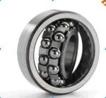 Bore 20mm Brass Cage Double Row Ball Bearings Stainless Steel Bearing 1204C3