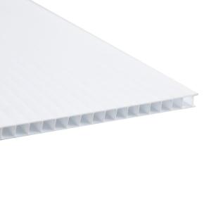 China 12mm Corrugated Twinwall Plastic Sheet Polypropylene Blank Coroplast factory