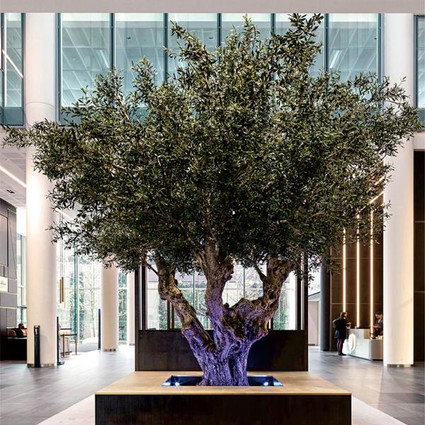 Factory Price Large Artificial Olive Tree, a Large Ornamental Fiberglass Tree for Indoor Restaurants and Shopping Malls