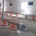 Floor Ground Chicken Water Feeding System Broiler Automatic Feeder