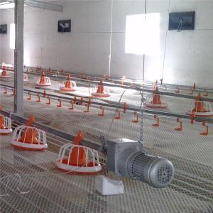 China AC110V 220V Automatic Poultry Feeder System Auto Chicken Feeder factory