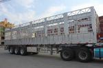 FUWA BPW Axles Bulk Cargo Carrier Fence Semi Trailer for Livestock Transportatio