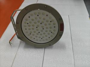 China IP66 Protection Explosion Proof Bay Lighting For Demanding Industrial Environments factory