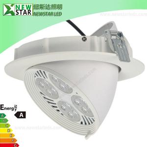 China 30Watt OSRAM Adjustable LED Downlight, Shopping Mall LED Downlight factory