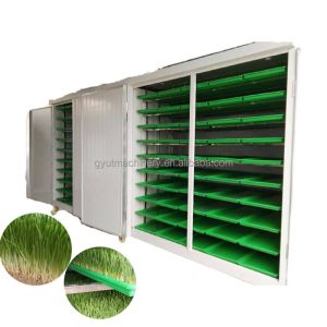 China Automatic Bean Sprouts Maker for Radish Wheatgrass Broccoli Sprouts Microgreens Sprouting on sale