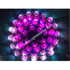 China individual program controlled digital rgb led spot light with 60 deg lens factory