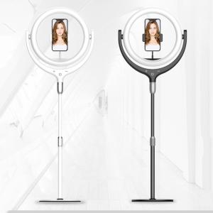 China 2800lm 10W Beauty Fill Light 12inch USB Live Streaming Ring LED Lamp 96 leds factory