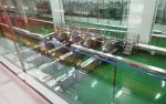 35-150 Bags/min Capacity Bakery Automatic Packaging Machine For Customer
