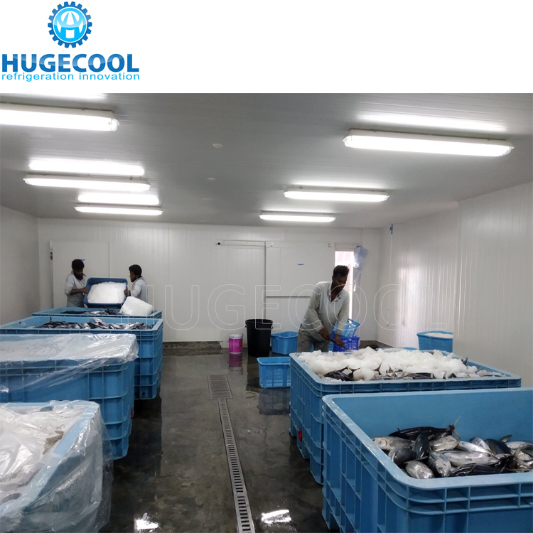 Hugecool cold room for vegetables walk in cooler box
