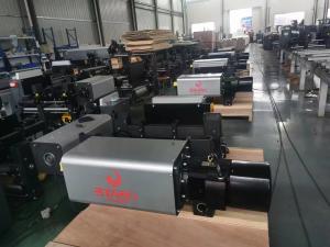 China European Hoist Hoisting Height 6-30m Guaranteed for 12 Months and in European Market factory