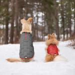 Reflective Safety Dog Vest