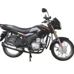110cc Gas Powered Mini Street Bike 150kg Max Loading Air Cooled