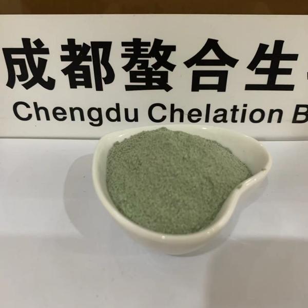 40% Protein Copper Amino Acid Chelate Light Green Powder For Feed Nutrient