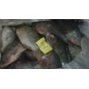 Buy cheap Frozen IQF tilapia fish farming whole round from wholesalers