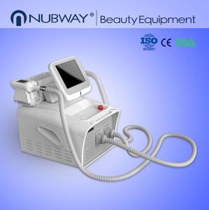 China Best Price Portable Cryolipolysis Slimming Machine Cryotherapy Lipo Laser factory