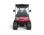 Street Legal Golf Cart NL-JA4 2.G Electric Buggy for Sightseeing Club 10%