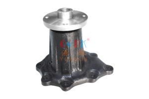 China 21010-19D10 Water Pump Assy NISSAN For Engine FD46T factory