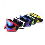 Anti - Fog Display Snow Ski Goggles Glass Snowboard Eyewear