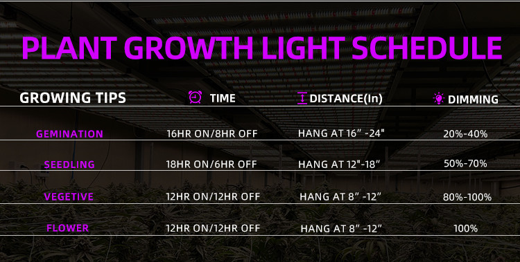 Wide 1200W Full Spectrum LED Grow Light Foldable Commercial With Samsung LM301H LM281B Chips
