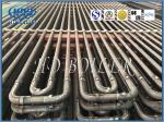Stainless Steel Boiler Superheater Coal Fired High Efficient Heat Exchanger