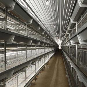 China Hi Hope H Type Poultry Cage 6 Tiers 8 Tiers Egg Laying Chicken Cage factory