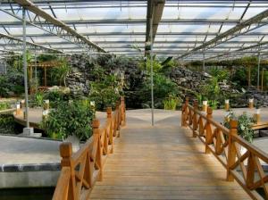 China Easily Assembled DIY Glass Greenhouse , Glass Greenhouse Kit Waterproof factory