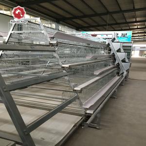 China Free Design A Type Hot Galvanized Baby Chick Cage 4 Tiers 168 Birds factory