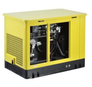 China 20KW Gasoline Generator YITENG Multi Fuel Generator with Electric Starting System factory