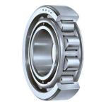 N210 Stainless Steel Cage Single Row Roller Bearing Textile Machine