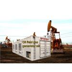 50HZ/60HZ Frequency WEICHAI Natural Gas Generation Equipment Generators Gas