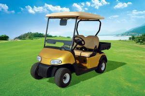 China New Design 2 Seats Electric Utility Golf Cart With Rear Plastic Cargo Box factory