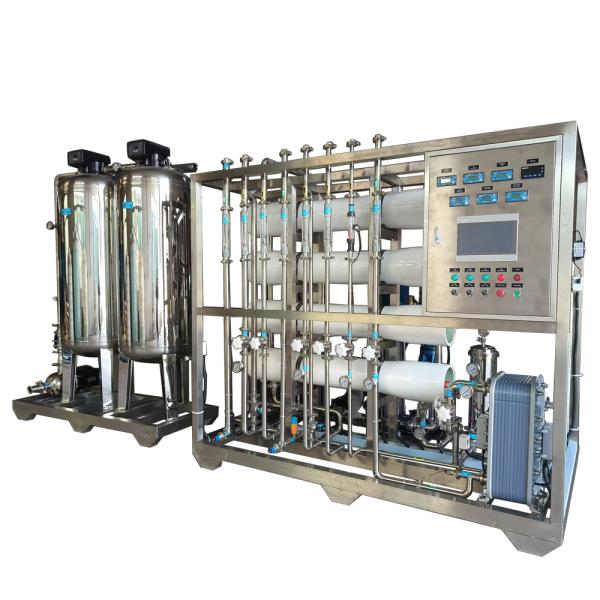 2000L/H Two Pass RO EDI Ultra Pure Water Treatment System with 18.2 MΩ*cm