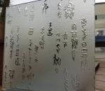 3mm-15mm Polished Edge Customized Patterned Glass for Office and Windows