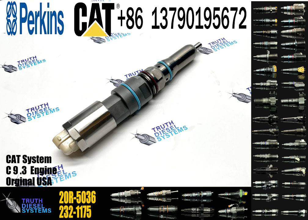 Common Rail Fuel Injector 20R-5036 20R-5079 20R-1318 173-9268 198-7912 460-8213 342-5487 417-3013 304-3637 For Cat C9.3