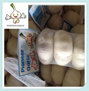 China normal white garlic 6.0cm crazy selling 2016 crop high quality fresh garlic factory