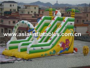 China Hot Sale Inflatable Double Lane Slide In Cartoon Theme For Kids factory