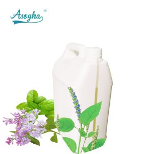 Hotel Natural Aromatherapy Oils / Electric Scent Diffuser Pure Aromatherapy Oils