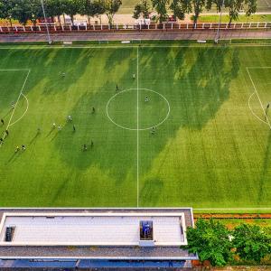 China 50mm PE School Artificial Outdoor Soccer Synthetic Grass factory
