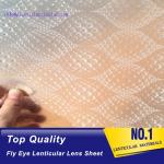 PLASTIC LENTICULAR Micro lens film fly eye lenticular 360 degree 3d effects