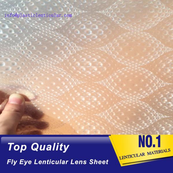 PLASTIC LENTICULAR plastic microlens film fly eye lenticular lens with 3d effect