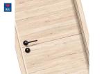 BS Customized Bedroom Wooden Eco Friendly Doors