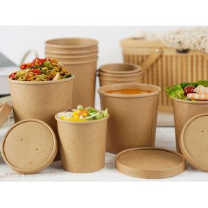 480ml/ 16oz Biodegradable Soup Tubs With Lids