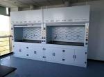 Jewelry Pickling Laboratory Fume Hood with PP Stainless Steel Anti-Corrosive