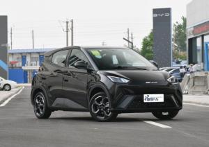 China Chinese Comfortable Sport New Energy Automatic Battery BYD EV Car Seagull Mini New Car factory