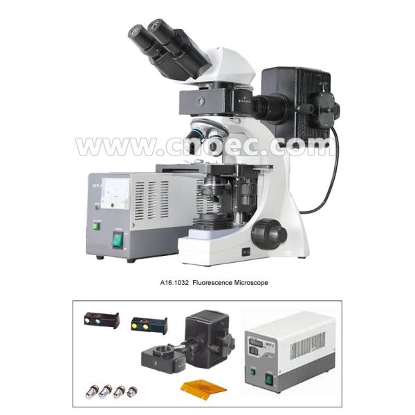 Infinite Binocular Fluorescence Microscope 3W LED Lamp B and G Filter A16.1032
