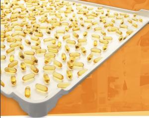 China Flat Bottom Food Grade Ppe CE 5cm Plastic Drying Trays factory