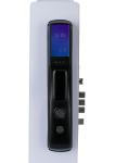 OEM ODM Fingerprint Door Lock Black Smart Home Gate Lock With Surveillance