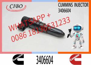 China 3064881 3406604 for Cummins M11 Diesel Engine Fuel Injector 3064881 3406604 factory