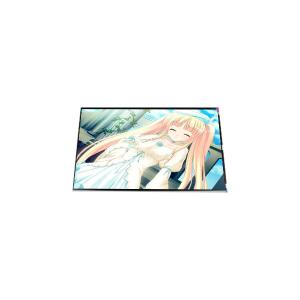 China LP133WH3-SPA1 13.3 inch 1366*768 lcd screen panel factory