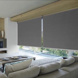 China ISO9001 Horizontal Zebra Quiet Pvc Exterior Roll Up Sun Shades factory
